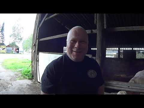 Ylä-Savon kovin metsätapahtuma!