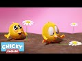 Where S Chicky Funny Chicky 2021 NEW 1 HOUR FLOWER POWER Chicky Cartoon In English For Kids