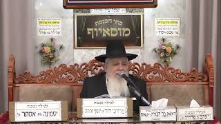 הרב יעקב ישראל לוגסי | פרשת יתרו תשפ"ו | (בית הכנסת מוסאיוף) - התמונה מוצגת ישירות מתוך אתר האינטרנט יוטיוב. זכויות היוצרים בתמונה שייכות ליוצרה. קישור קרדיט למקור התוכן נמצא בתוך דף הסרטון