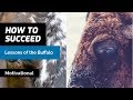 Face Your Problems And Run Towards The Storms Lessons From The Buffalo