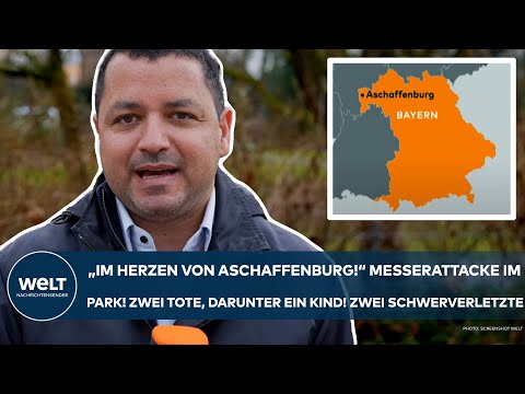 Video Thumbnail: ASCHAFFENBURG: Zwei Menschen im Park erstochen - darunter ein Kind! Zwei Schwerverletzte!