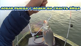 На какие снасти ловить в дону рыбца