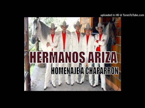 Homenaje A Chaparrón - Hermanos Ariza Show