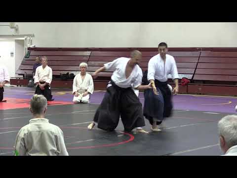 Birankai Aikido Summer Camp 2019 -  F. Apodaca, Shihan, Class 3