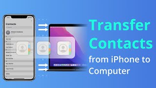 [3 Ways] How To Transfer Contacts from iPhone to Computer without iTunes 2022 | Windows & Mac