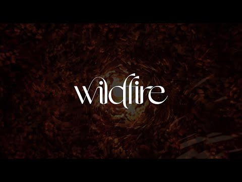 RÜFÜS DU SOL - Wildfire