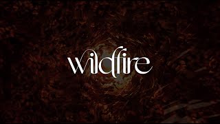 RÜFÜS DU SOL - Wildfire [Official Audio]