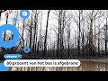 Van dit natuurgebied in Australië is bijna niets meer over