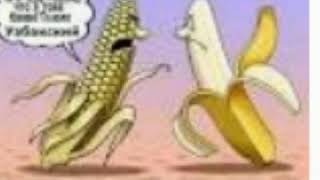 Карочи Бачаи афанди шух будай Гуш кун ай хандара сус мешай....