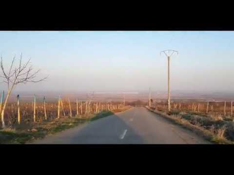 Dalhauti Carligele Vrancea