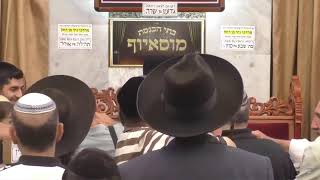 פרשת דברים הילולת רבנו הארי הקדוש ז ל מנחם אב תשפד