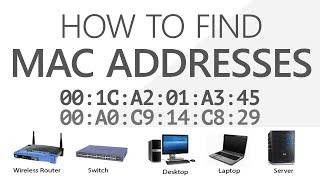[Hindi] How to find MAC address in your device | What is mac id?