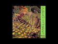 Screaming Trees - Invisible Lantern (Private Remaster) - 01 Ivy