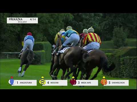 3. 9. 2022 - 8. dostih - Cena ENIGOO