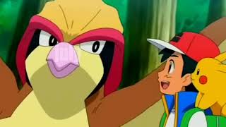 Ash Pidgeot Returned In Last Epsiode  Pokemon End Pokemon Last Episode