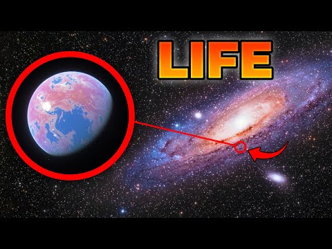 I Found Life in REAL Galaxies