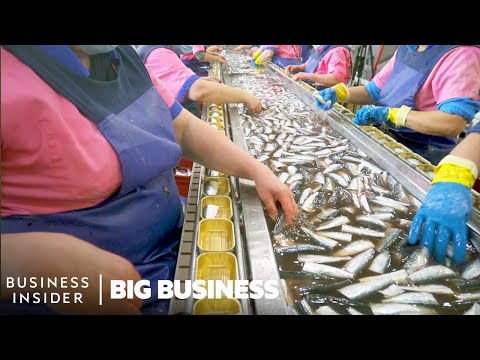 , title : 'How The World’s Longest-Running Sardine Cannery Packs 60 Million Cans A Year | Big Business'