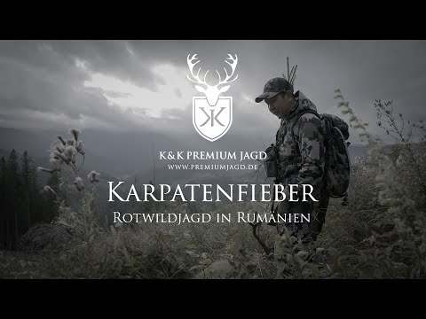 🌲🌲🌲Karpatenfieber 🦌 Rotwildjagd Rumänien 👀Auf den Spuren  🐗 von Florstedt und Spiess 🐺