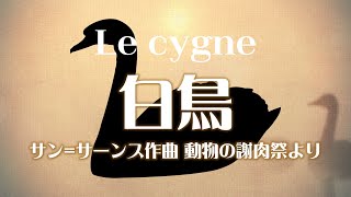 Download lagu サン=サーンス 組曲「動物の謝肉祭」より 《白鳥》 mp3