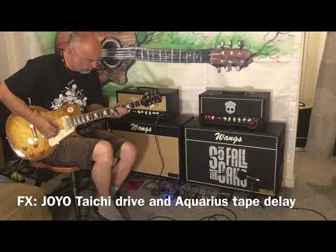 Biyang Wangs Amps #1987HW & #2204HW