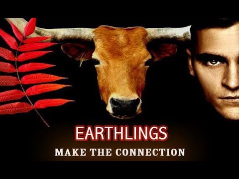 地球人紀錄片 (Earthlings Documentary)