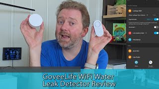 GoveeLife WiFi Water Leak Detector Review | Best Smart Water