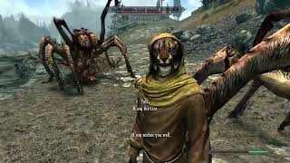 This Summed Up All Skyrim Player Experience