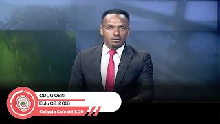 Download lagu Oduu Galgala Sa'aatii 1:00 OBN Ebla 02, 2018 mp3