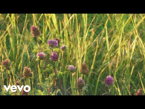 Peo - Spring Hymn from Gotland (Official Music Video)