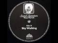 Theo Parrish - Sky Walking