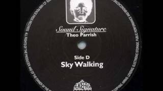 Theo Parrish - Sky Walking