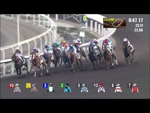 28/11/2021 (213) Sunny Boy - Jerry Chau