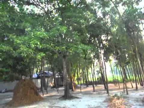 Kakuli Village scenario 1