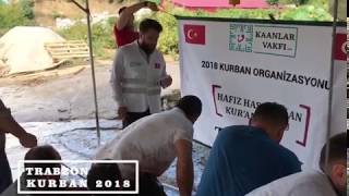 Trabzon Kurban 2018