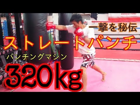 【ストレート・パンチ】
パンチングマシンで320㎏だせる
ようになった、極真空手で身につけた《一撃の極意》と《練習方法》を限定公開します！