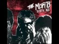 The Misfits- She (Album Version) 
