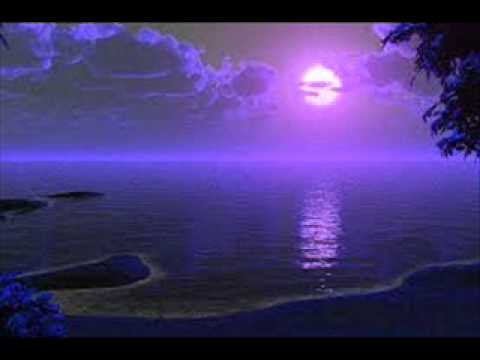 Armin Van Buuren feat. Cindy Alma vs  DVBBS & Borgeous: Beautiful Tsunami ( by Pitch )