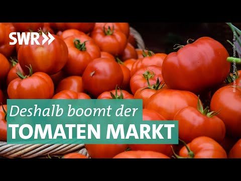 , title : 'Das Geschäft mit Tomaten | Marktcheck SWR'
