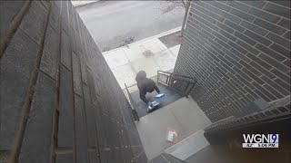Porch pirate steals packages from Pilsen residence