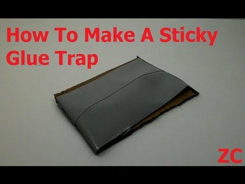 How To Make A Sticky Glue Trap For Pests And Insects