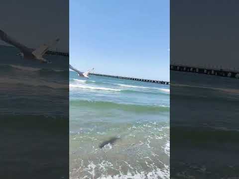 Ithaly Beach..🐟💚 #travelvlog #italy #travel #beach