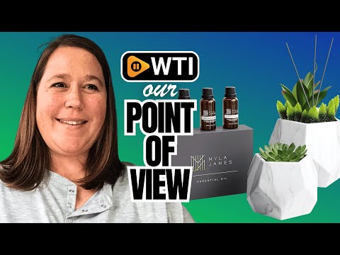 2in1 Reed Diffusers for Home & Faux Succulents Plants Artificial Set-Ceramic Potted Succulents x2 Pcs - WTI product video review