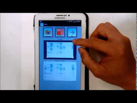 Gelapp: DNA&Prot Gel Analyzer