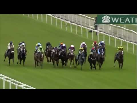 Asfoora - Group One Coolmore Wootton Bassett Nunthorpe Stakes (1000m) - York - 22nd August 2025