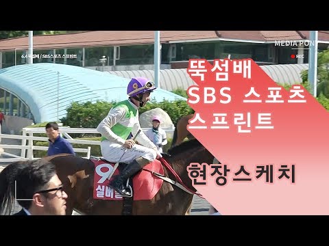 2017 뚝섬배 & SBS한일전 후기
