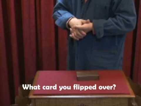 Drawing Card Case by Mikame Craft