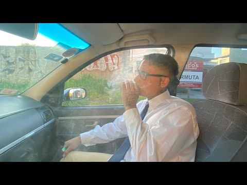 Te pensé manejando (Visualizer)