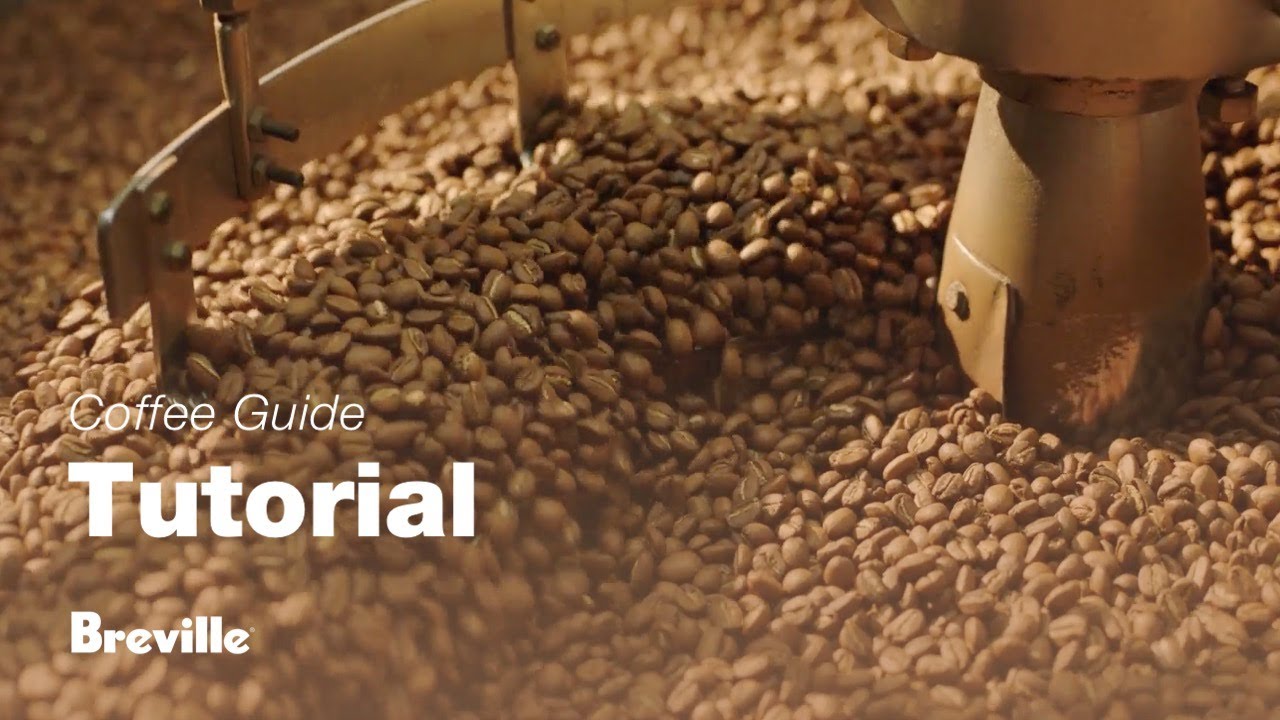 Choosing the right beans 