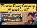 Forever Living Company Work Details | Benefits in Forever Living Company |