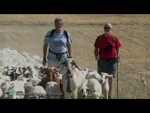 Gran Senda de Mlaga GR 249. Variante 4. Etapa 2. Antequera - Valle de Abdalajs